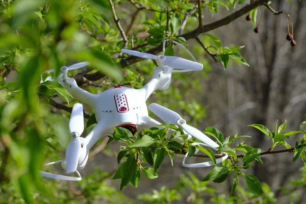 Loss control and signal, quadcopter landed tree branch
