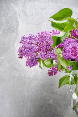 Açık arkaplanda yeşil yapraklı buket leylak.