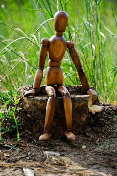 Wooden Brown Mannequin Sits Stump Background Green Grass — Stock Photo, Image
