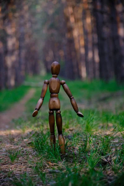 Μοναχική Κούκλα Περιπλανιέται Μέσα Στο Δάσος Έννοια Οικολογική Καθαριότητα Και — Φωτογραφία Αρχείου