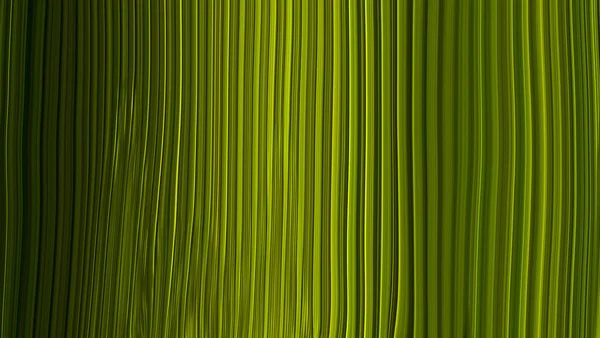 Abstract Linear Vertical Green Background — Stock Photo, Image