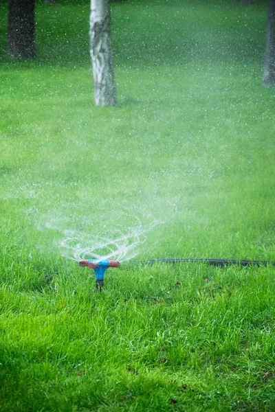 Automatisk Gräsmatta Sprinkler Bevattning Grönt Gräs — Stockfoto