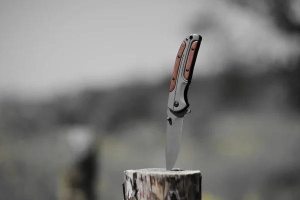 Skládací Nůž Zaseknutý Dřevěném Pařezu Pozadí Lesa Nástroj Pro Venkovní — Stock fotografie