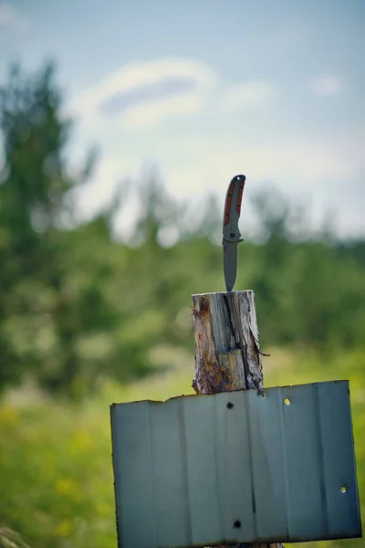 Bıçak Pul Ağacına Yapışmış Yazı Için Teneke Panel Var — Stok fotoğraf