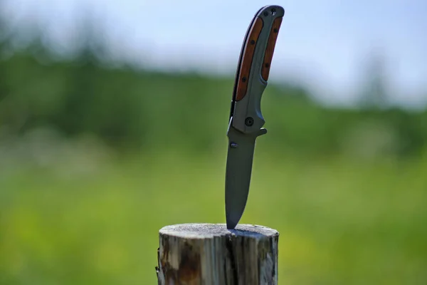 Складной Нож Застрял Деревянном Пне Заднем Плане Forest Tool Отдыха — стоковое фото