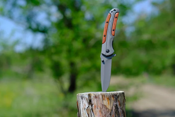 Couteau Pliant Est Coincé Dans Souche Bois Contre Forêt Fond — Photo