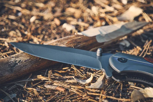 Hayatta kalmak için katlanan av bıçağı ve sivri uçlu çivi.
