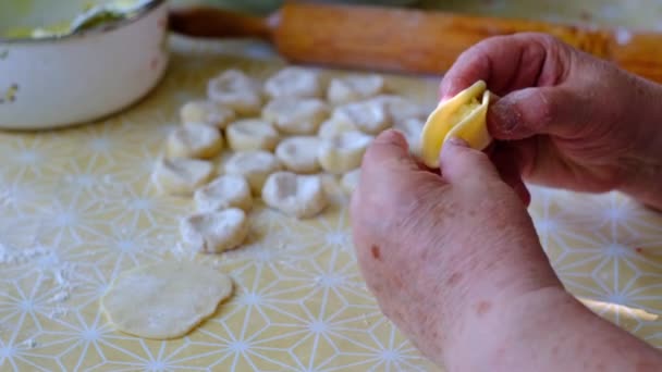 Руки Пожилая Женщина Делает Пельмени Картошкой Домашняя Еда — стоковое видео