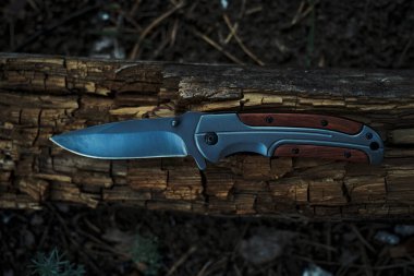 Hayatta kalmak için katlanan bıçak çürük ağaçta yatıyor.