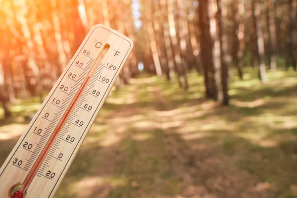 Wooden outdoor thermometer forest background hot sunny day