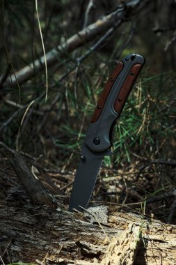 Tahta saplı katlanmış hayatta kalma bıçağı ormanda çürümüş bir ağaçta sıkışıp kalmış.
