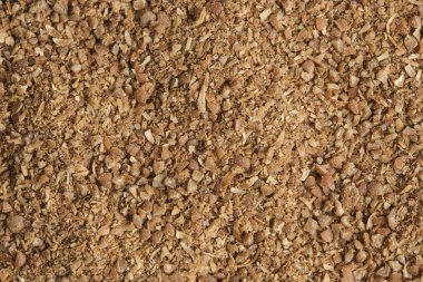 Baharatlı kişniş. Makro fotoğrafçılığa yakın çekim