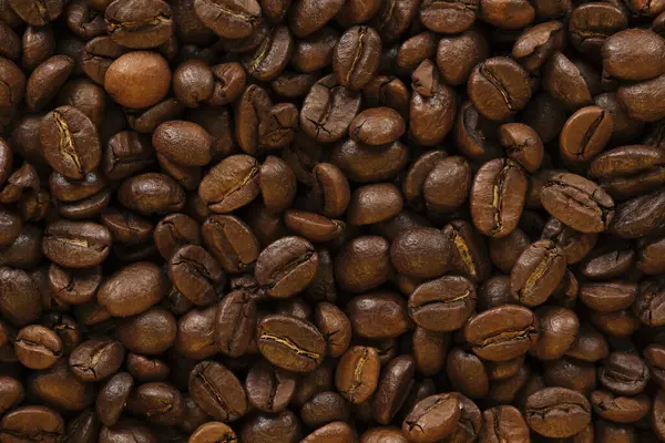 烘焙咖啡种子的背景 免版税图库图片