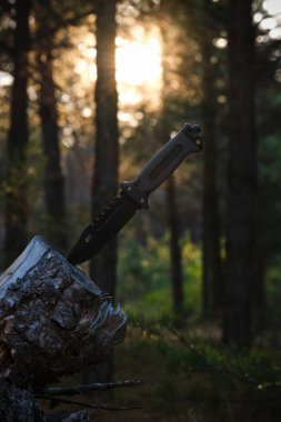 Ağaçlara saplanmış taktik turist bıçağı ormandaki günbatımına karşı.