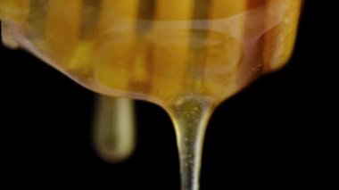 Ahşap kaşık siyah arka planından damlayan sıvı ve taze bal.