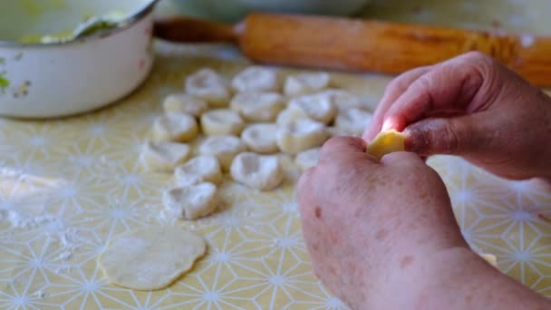 Руки Пожилой Женщины Делают Пельмени Картошки Домашняя Еда — стоковое видео