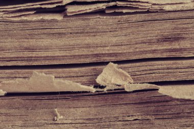 Kağıt uçlu sayfalar eski bir antika kitap