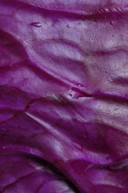 Yakın plan kırmızı lahana yaprağı