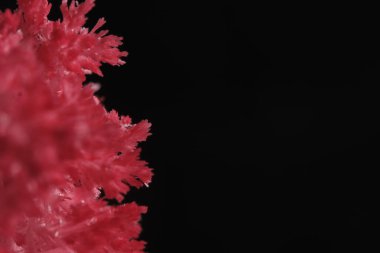 Siyah arkaplanda kırmızı tuz kristali