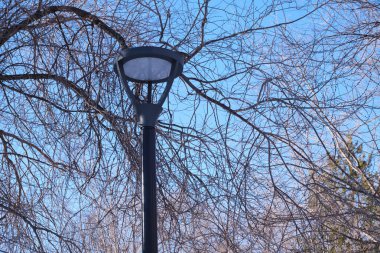 Arka planda lamba direği Mavi gökyüzü ve ağaç dalları