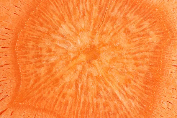 Macro background, carrots in the section. Vegetables in closeup