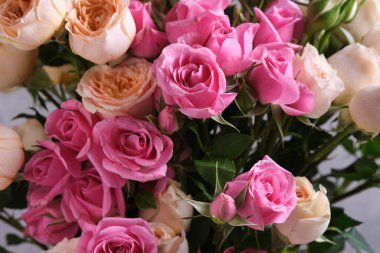 Arka plan olarak güzel pembe güller, yakın plan. Çiçek tasarımı