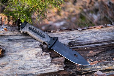 Kara saplı av bıçağı ormanda yatıyor.