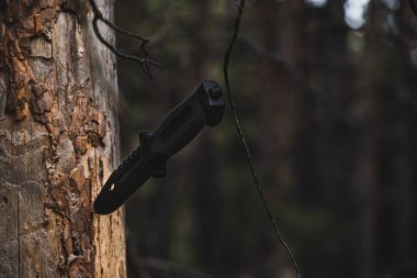 Ormandaki bir ağaçta av bıçağı. Kamp ekipmanları