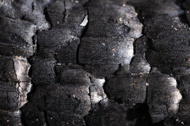 Burning charcoal closeup as a background. Macro texture clipart