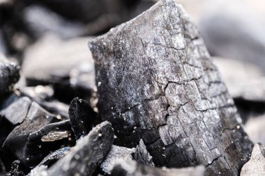Close up of burnt coals. Macro texture clipart