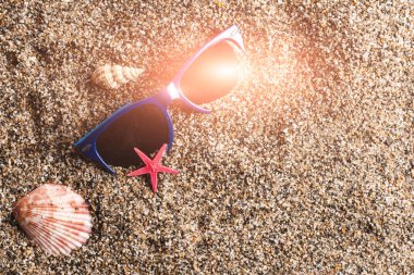 Deniz yıldızlı güneş gözlükleri ve kumsalda deniz kabukları.