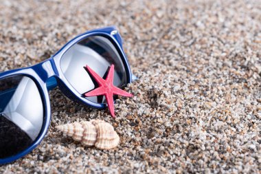 Deniz yıldızlı güneş gözlükleri ve kumdaki deniz kabukları.