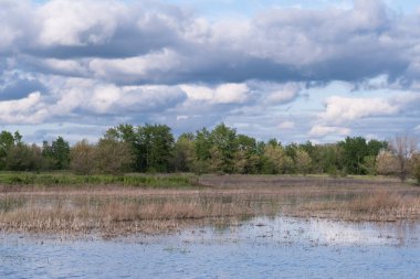 Yaklaşan fırtına bulutlarının arka planına karşı sığ göl. Doğal manzara.