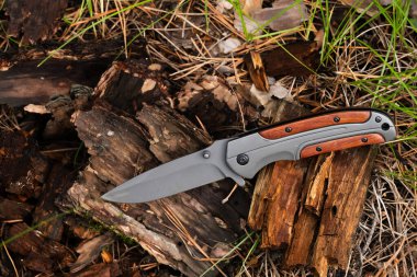 Ormanda bıçak. Doğanın arka planında bıçak