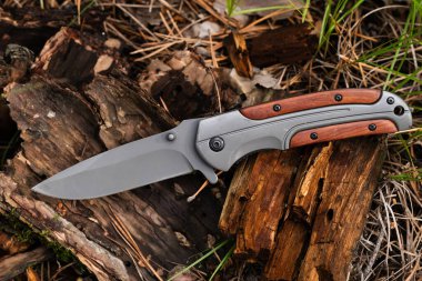 Arka plandaki çam ağacına karşı ormanda av bıçağı.