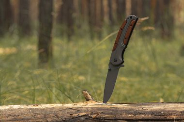 Tahta saplı bir bıçak ormanda devrilmiş bir ağaca sıkışmış.