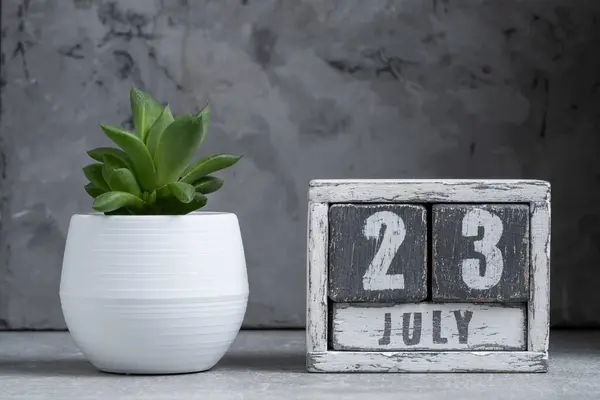 stock image Wooden cube calendar for July 23 with succulent plant in white pot