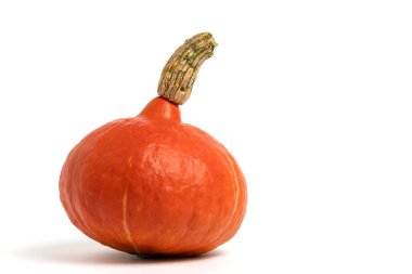 Beyaz arkaplanda kabak izole