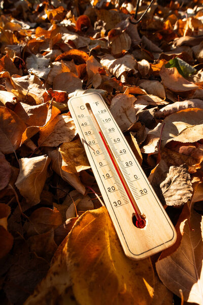 Термометр, лежащий на земле, показывает высокую температуру на фоне осенних опавших листьев