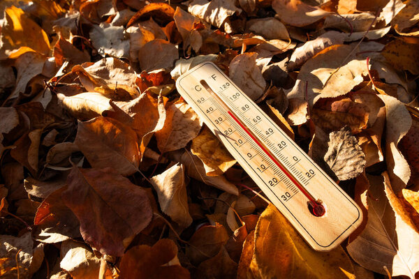 Термометр на земле, покрытый осенними листьями в парке в теплый солнечный день