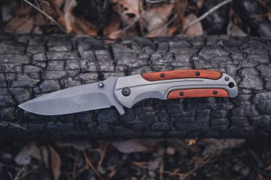 Arka planda kömürleşmiş ağaç gövdesinde av bıçağı. Yukarıdan görüntüle