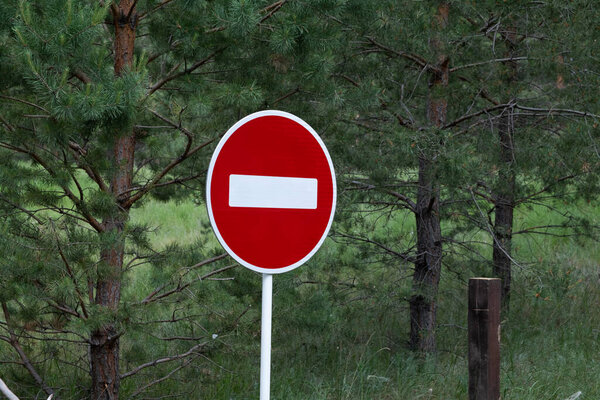 No entry sign on road in pine forest. Road sign