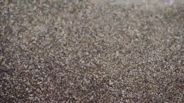 Sakin, şeffaf deniz dalgaları küçük, ezilmiş taş plajlarda yuvarlanıyor. Kahverengi çakıl taşı kıyılarından okyanus gelgitlerinin en üst görüntüsü. Sakin, sakin, yaz tatili konsepti. Yüksek kalite 4k görüntü