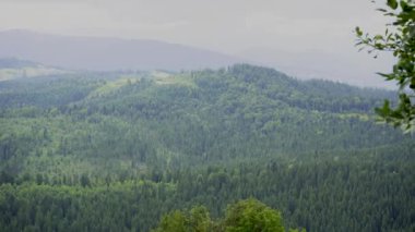 Rahatla, doğa geçmişi. Rüzgarlı bir yaz günü, dağ manzarası. Yaz öğleden sonrası vahşi doğa arka planı, bulutlu bir gökyüzü. Yüksek kalite 4k görüntü