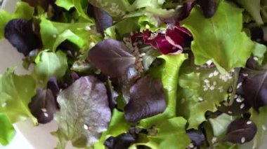 Taze karışık salata yaprakları, beyaz tabakta dönen susam. Üst düzey, kilo verme diyeti, vejetaryen, sağlıklı yiyecekler. Yüksek kalite 4k görüntü