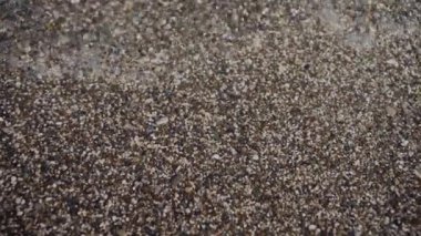 Temiz su dalgaları küçük, ezilmiş taş plajlarda yuvarlanıyor. Kahverengi çakıl taşı kıyılarından okyanus gelgitlerinin en üst görüntüsü. Sakin, sakin, yaz tatili konsepti. Yüksek kalite 4k görüntü