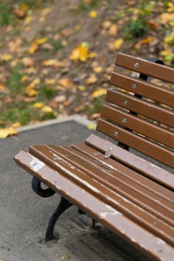 Yıpranmış ahşap bir bank, dağınık sonbahar yapraklarıyla çerçevelenmiş bir parkta sessizce oturur ve kıtır bir sonbahar akşamının huzurlu bir atmosferini yaratır. Yüksek kaliteli dikey fotoğraf