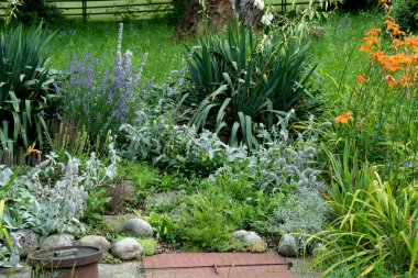 Farklı botanik ve bitkilerle sükunet bahçesi. Çiçeklerle, yeşilliklerle, portakallarla, mor çiçeklerle dolu güzel bir rahatlama parkı. Yüksek kalite fotoğraf