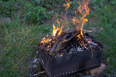 Barbekü pişirmeden önce parlak şenlik ateşi. Demir yangın önleyici ve kuru yanan dallar, yeşil çimlerin üzerinde kömür.