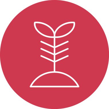 beautiful flower vector line icon